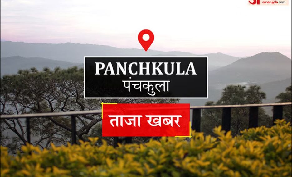 Panchkula News: पैसों से भरा बैग छीनकर भागने के मामले में दो युवको को किया बरी ?