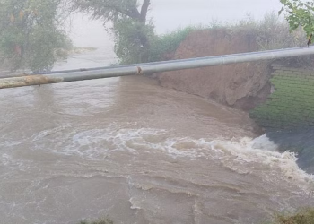 सिरसा : तैयार खड़ी फसल जलमग्न, ढूकड़ा के पास नोहर फीडर में 80 फुट की दरार पड़ी