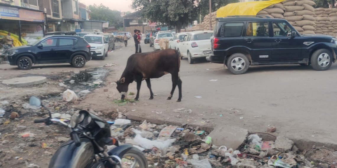 सोहनाअनाज मंडी में अवैध रूप से किया गया है आढतियों द्वारा अतिक्रमण-