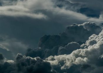 हरियाणा के इस जिले में AQI लेबल पहुँचा 500 के पार-